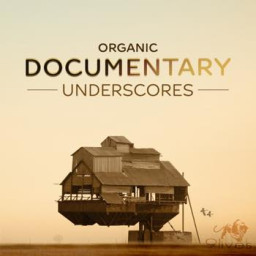 Organic Documentary Underscores