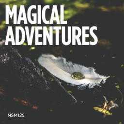 Magical Adventures