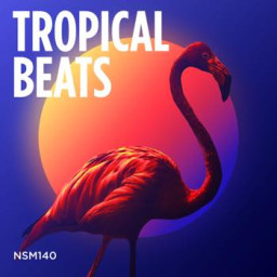 Tropical Beats