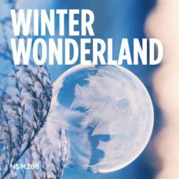 Winter Wonderland