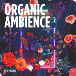 Organic Ambience