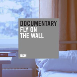Documentary - Fly On The Wall