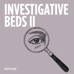 Investigative Beds II