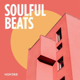 Soulful Beats