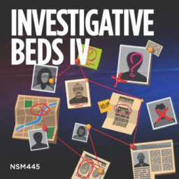 Investigative Beds IV