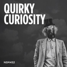 Quirky Curiosity