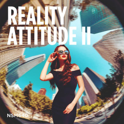Reality Attitude II