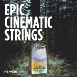 Epic Cinematic Strings