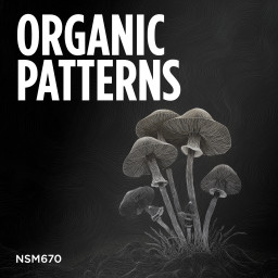 Organic Patterns