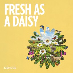 Fresh As A Daisy