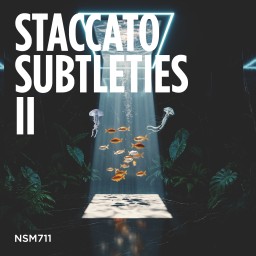 Staccato Subtleties II