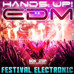 Hands Up! Edm ! - Festival Electronic