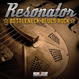 Resonator - Bottleneck Blues Rock