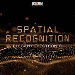 Spatial Recognition