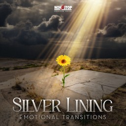 Silver Lining - Emotional Transitions