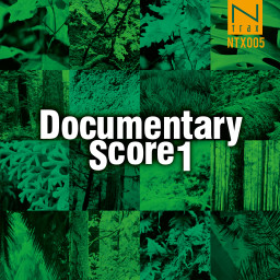 Documentary Score 1