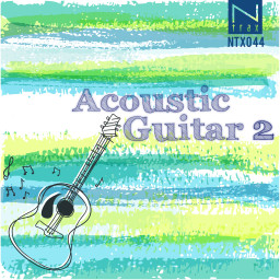 Acoustic Guitar 2