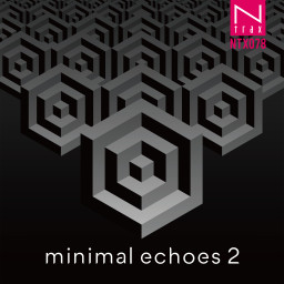Minimal Echoes 2