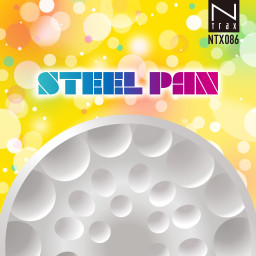 Steel Pan
