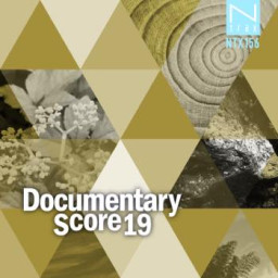 Documentary Score 19