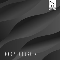 Deep House 4