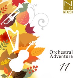 Orchestral Adventure 11
