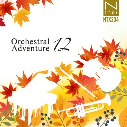 Orchestral Adventure 12