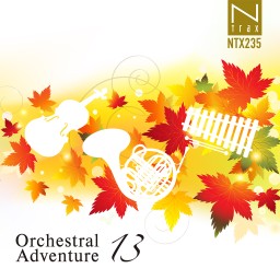 Orchestral Adventure 13