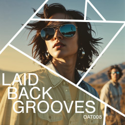 Laid Back Grooves