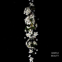 Simple Beauty
