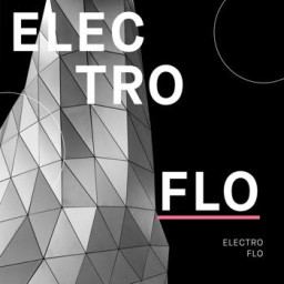 Electro Flo