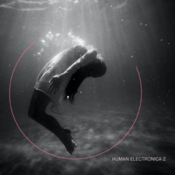 Human Electronica 2