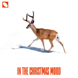 In The Christmas Mood