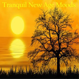 TRANQUIL NEW AGE MOODS