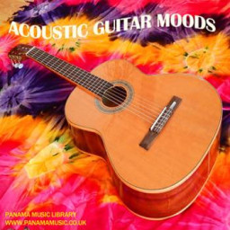 ACOUSTIC GUITAR MOODS