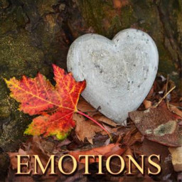 EMOTIONS