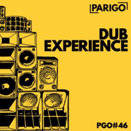 Dub Experience