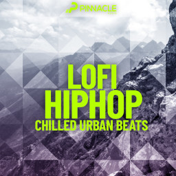 LoFi Hip Hop