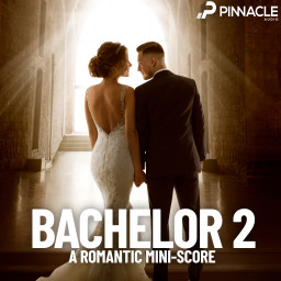 Bachelor 2