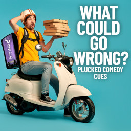 What Could Go Wrong?