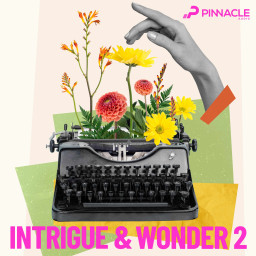 Intrigue & Wonder 2
