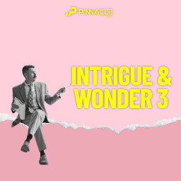 Intrigue & Wonder 3