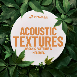 Acoustic Textures