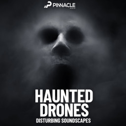Haunted Drones