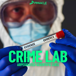 Crime Lab