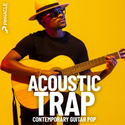 Acoustic Trap