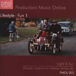Lifestyle-Fun 1