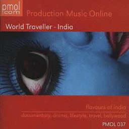 World Traveller - India