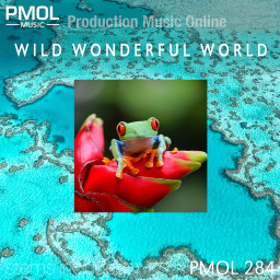 Wild Wonderful World