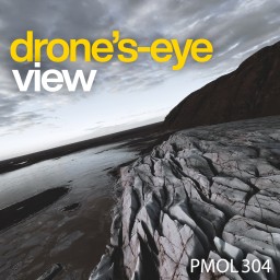 Drone's-Eye View